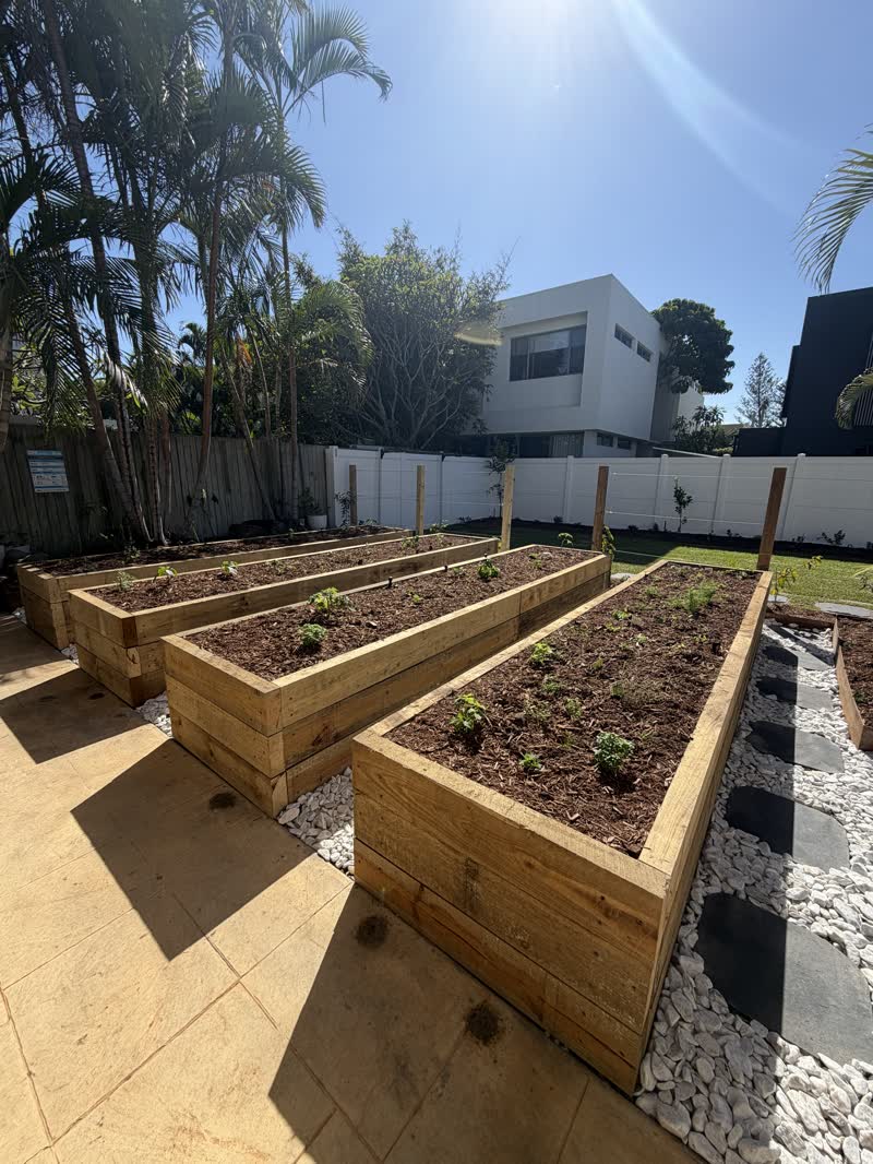Garden beds, golden hour