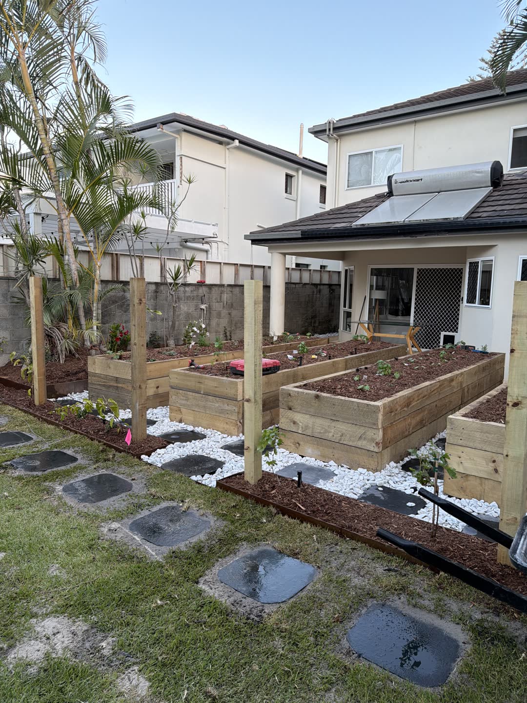 Alfred St Mermaid Beach, finished yard